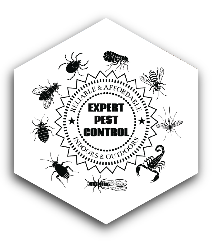 Expert Pest Control